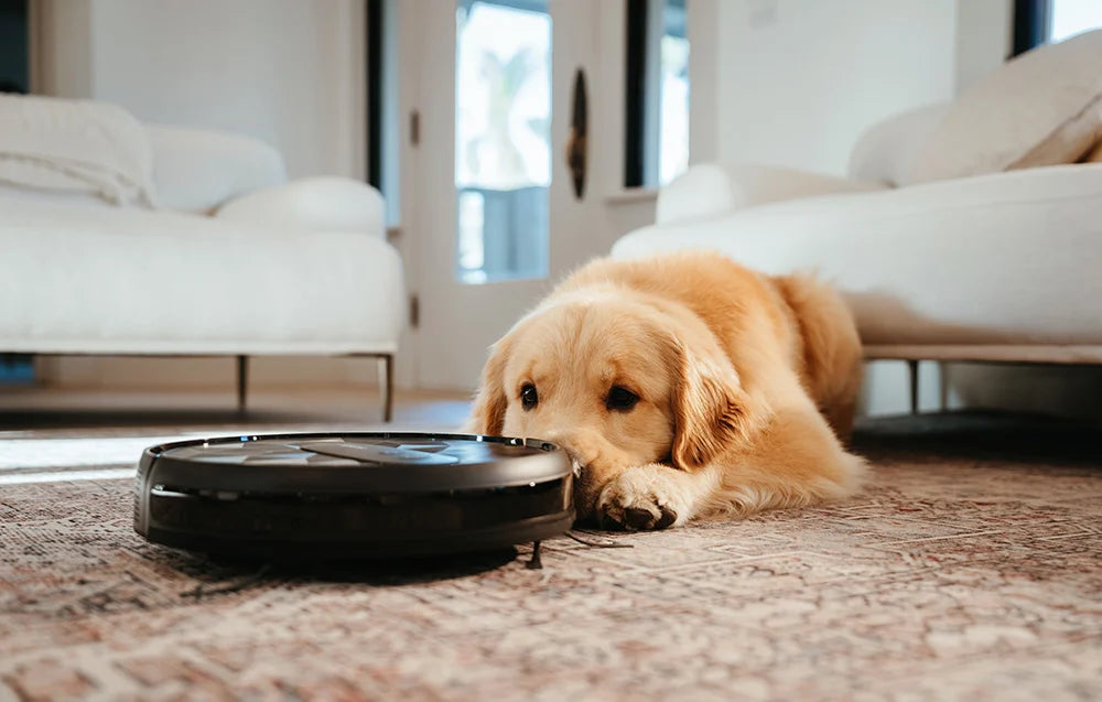 Прахосмукачка робот AIRROBO P20, 35 W, 120 мин работа, 600мл контейнер, HEPA филтър, Черен