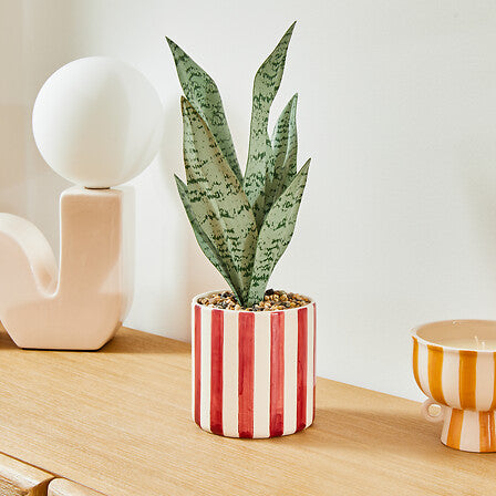 Изкуствено растение atmosphera Sansevieria Chéri, 38 cm