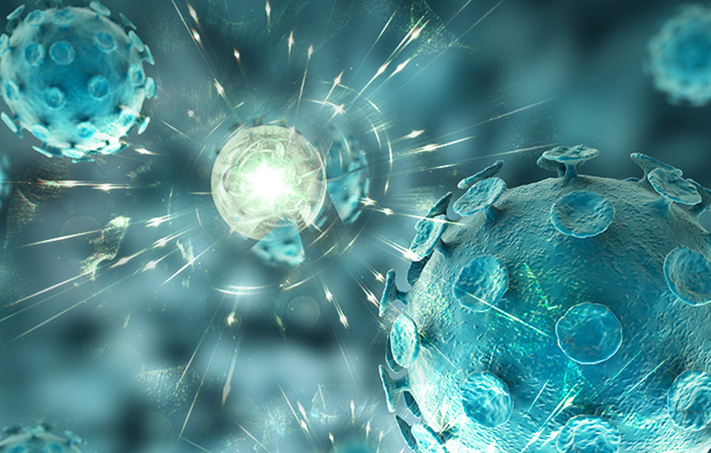 Мултифункционална парочистачка Deerma ZQ610, 1300W, 230мл, 105°C, 4м кабел, Бял