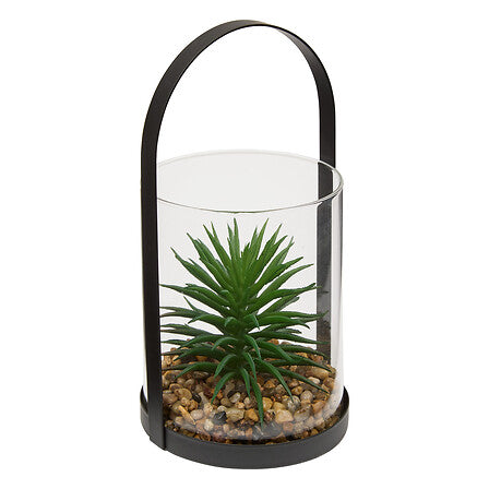 Изкуствено растение atmosphera Wilo Hanging Terrarium, 19 cm, Различни видове