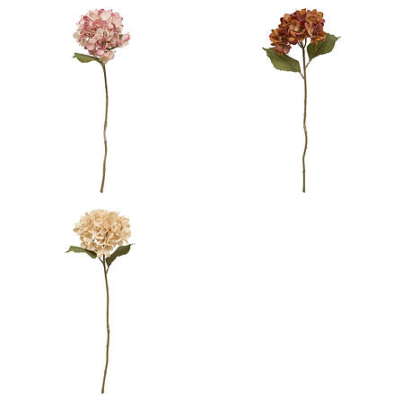 Декоративно стъбло хортензия atmosphera Fria, Асорти, 62 cm