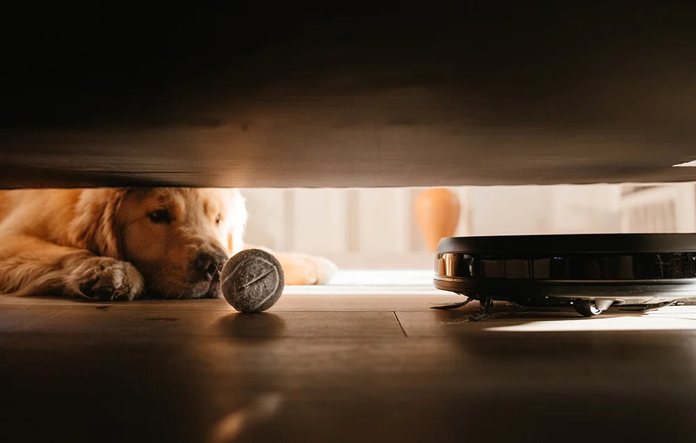 Прахосмукачка робот AIRROBO P20, 35 W, 120 мин работа, 600мл контейнер, HEPA филтър, Черен