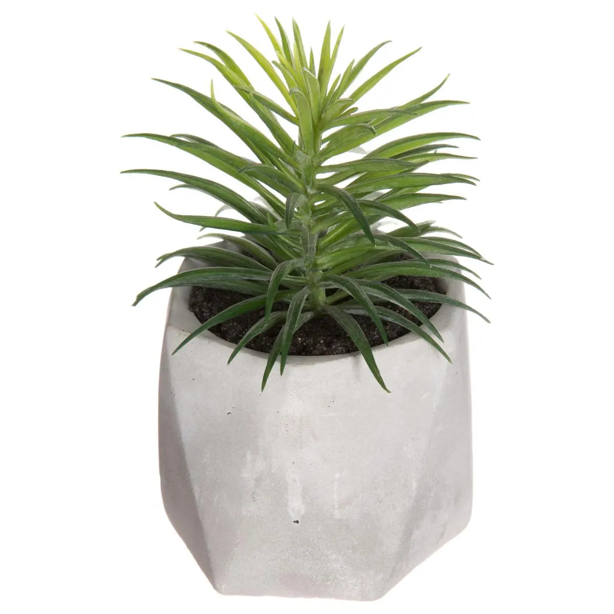 Изкуствено растение atmosphera Succulent, 14 cm, Различни видове