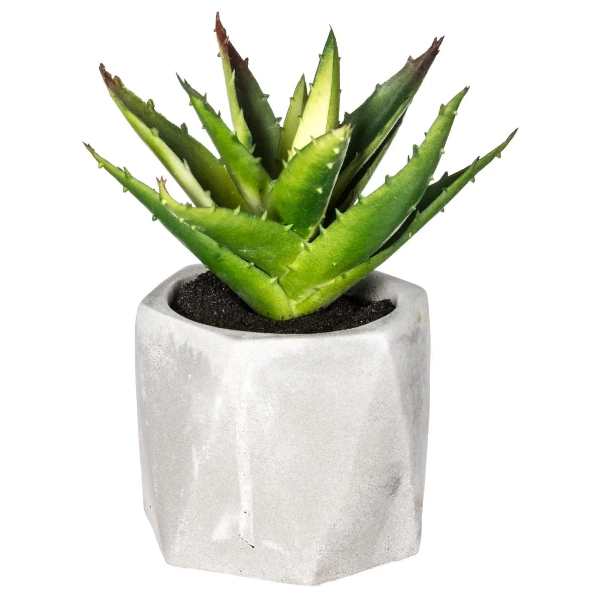 Изкуствено растение atmosphera Succulent, 14 cm, Различни видове