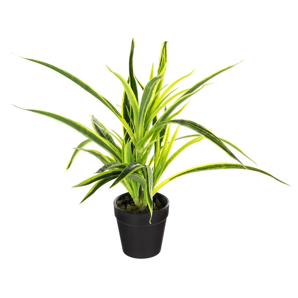 Изкуствено растение atmosphera, 30 cm, Различни видове