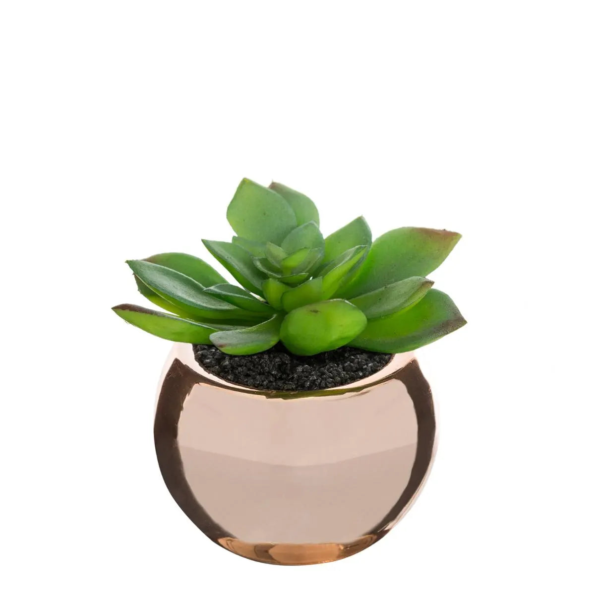 Изкуствено растение atmosphera, 15 cm, Различни видове