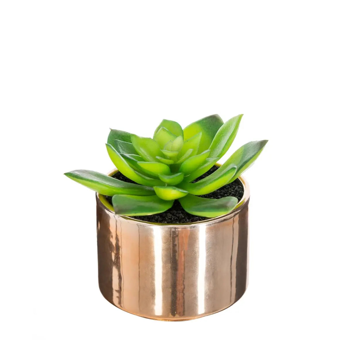 Изкуствено растение atmosphera, 15 cm, Различни видове