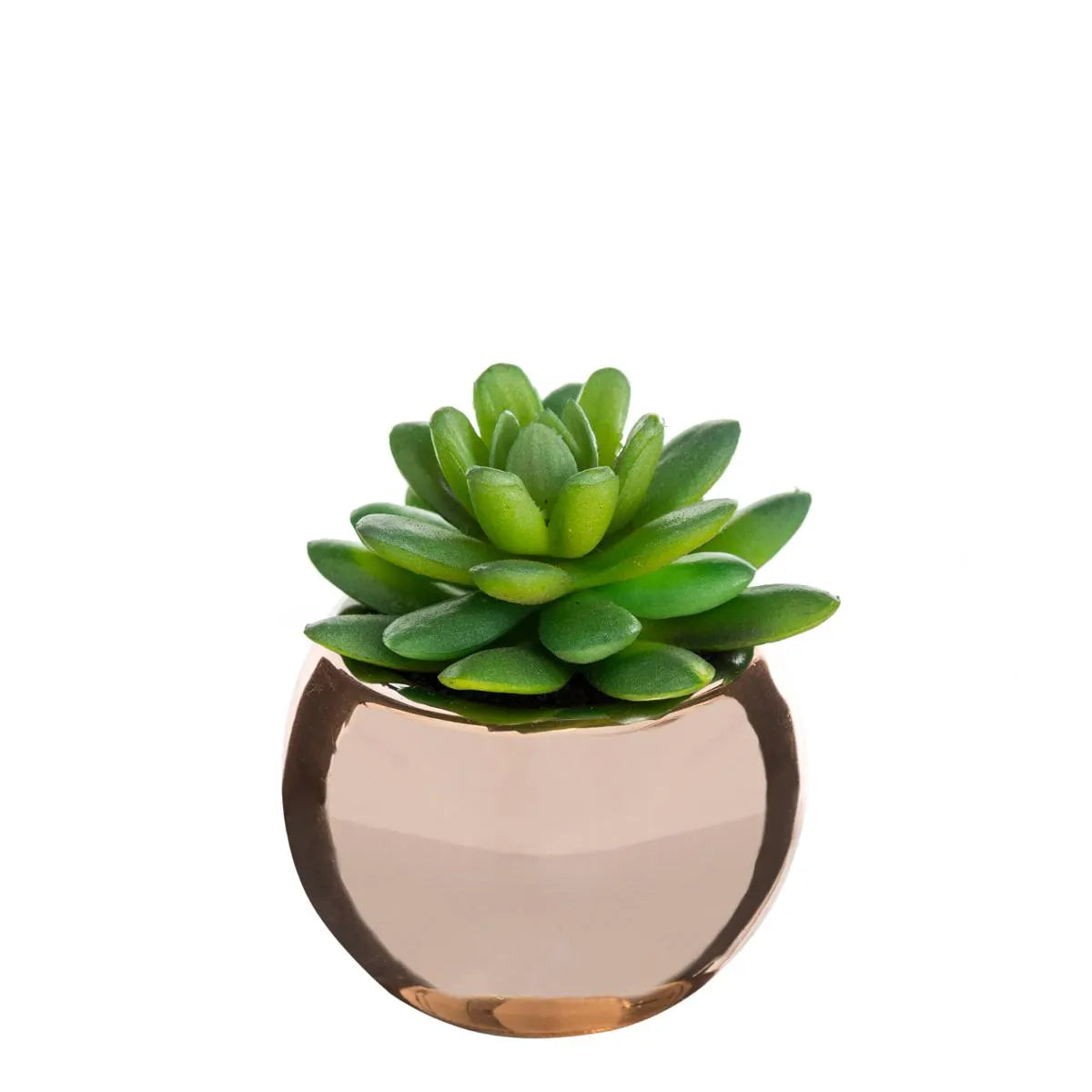 Изкуствено растение atmosphera, 15 cm, Различни видове