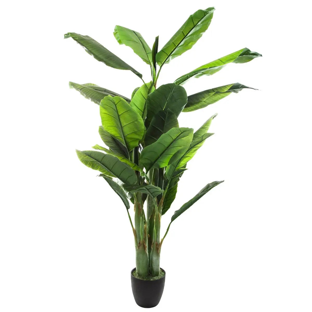 Изкуствено растение atmosphera Banana Tree, 170 cm