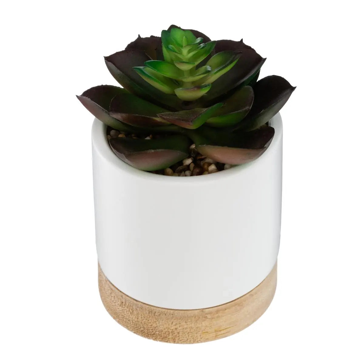 Изкуствено растение atmosphera Succulent, 12 cm, Различни видове