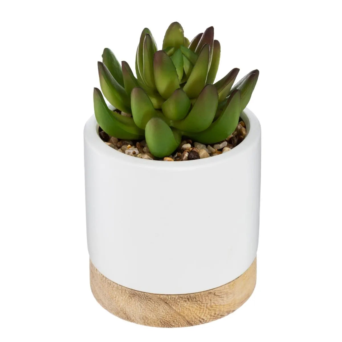 Изкуствено растение atmosphera Succulent, 12 cm, Различни видове