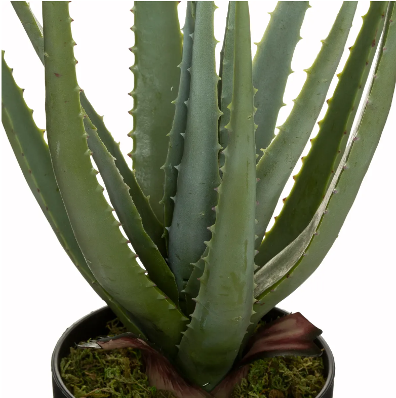 Изкуствено растение Atmosphera