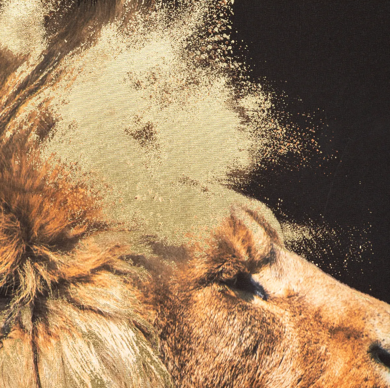 Картина atmosphera Lion, 60x90 cm