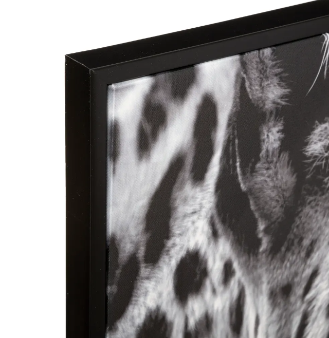 Картина atmosphera Leopard, 58x58 cm