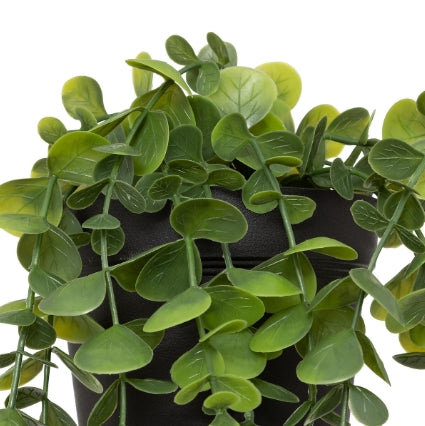 Изкуствено растение atmosphera Merly Eucalyptus, 51 cm, Различни видове