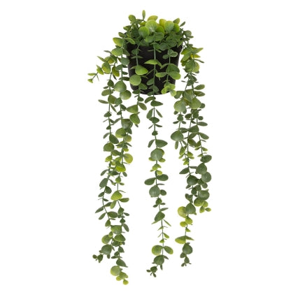 Изкуствено растение atmosphera Merly Eucalyptus, 51 cm, Различни видове