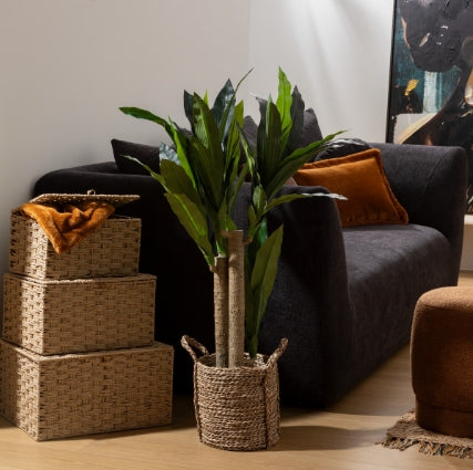 Изкуствено растение atmosphera Dracena Tree Onia, 105 cm