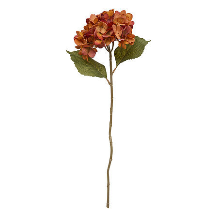 Декоративно стъбло хортензия atmosphera Fria, Асорти, 62 cm