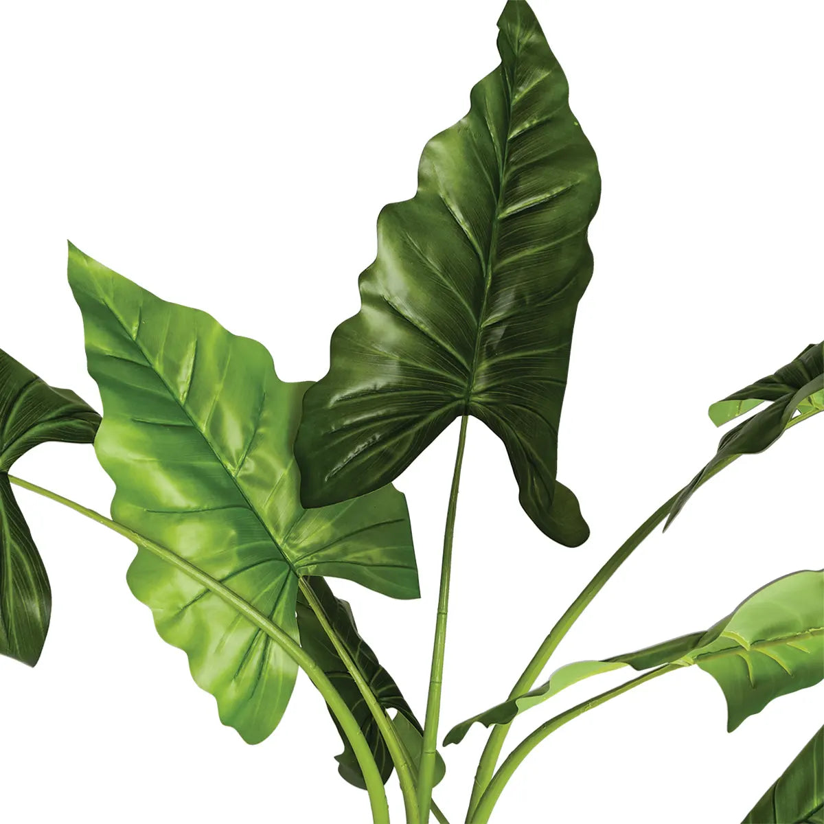 Изкуствено растение atmosphera Banana Tree, 120 cm