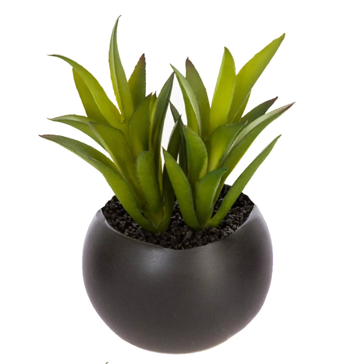 Изкуствено растение atmosphera Succulent, 6 cm, Различни видове