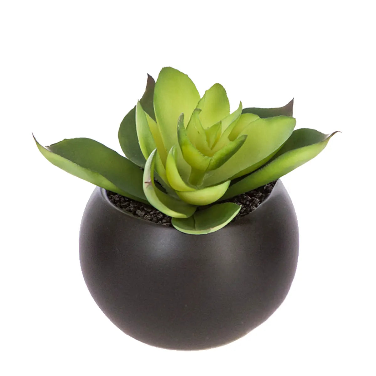 Изкуствено растение atmosphera Succulent, 6 cm, Различни видове