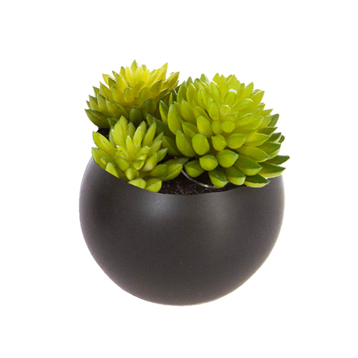 Изкуствено растение atmosphera Succulent, 6 cm, Различни видове