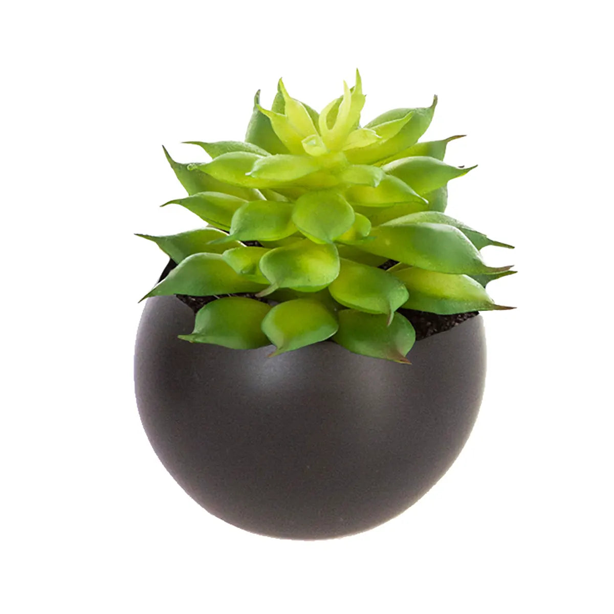 Изкуствено растение atmosphera Succulent, 6 cm, Различни видове