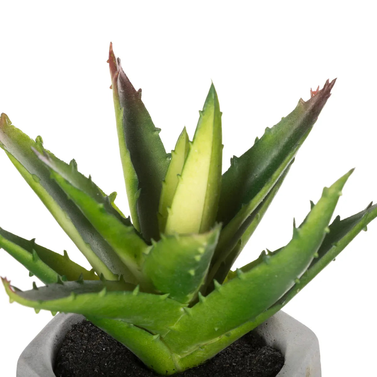 Изкуствено растение atmosphera Succulent, 14 cm, Различни видове
