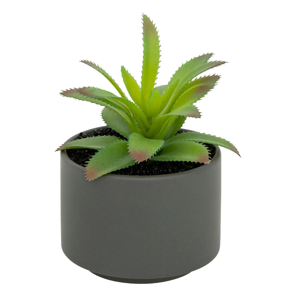 Изкуствено растение atmosphera Succulent, 13 cm, Различни видове