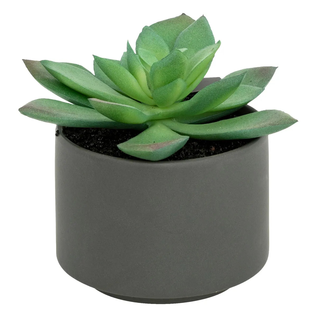 Изкуствено растение atmosphera Succulent, 13 cm, Различни видове