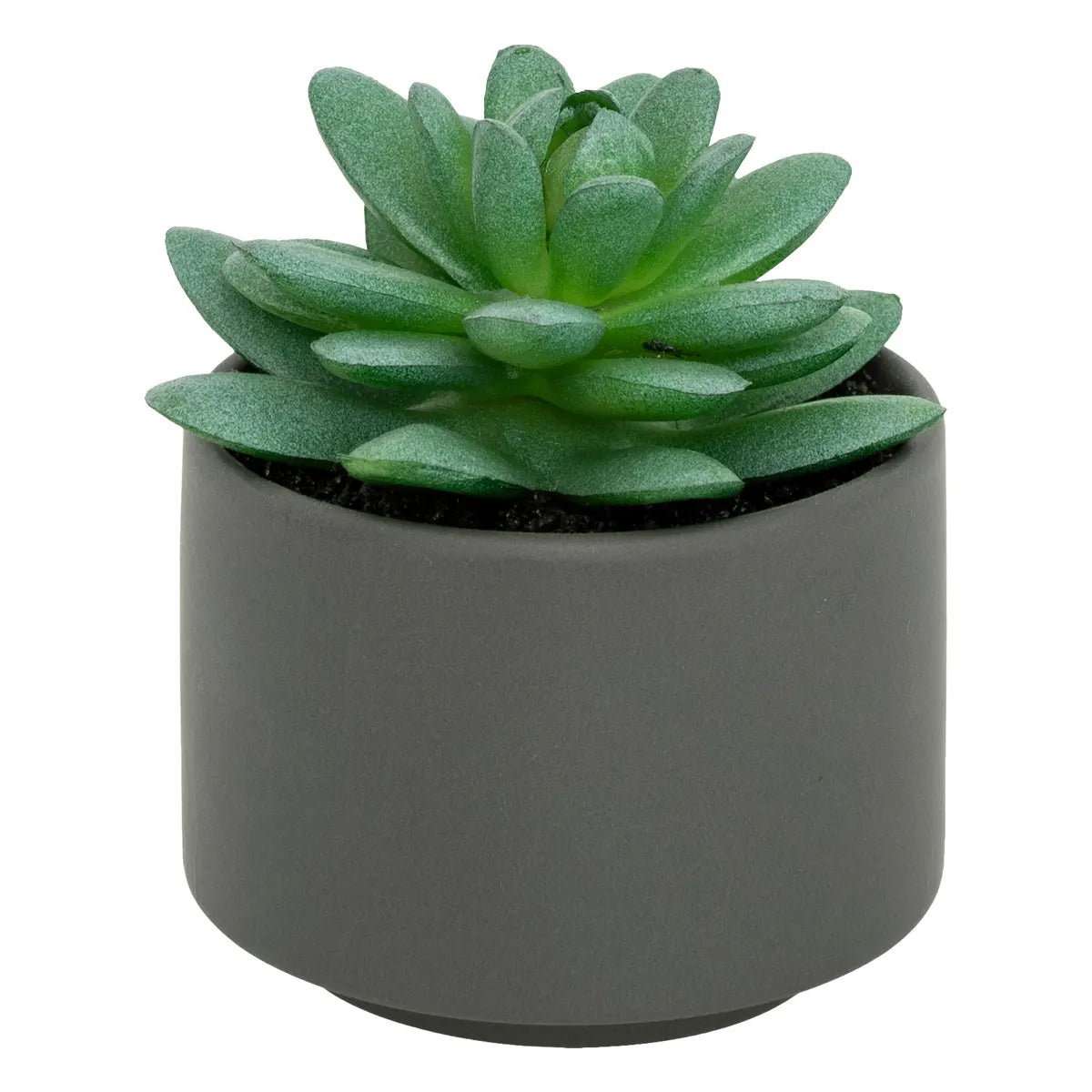 Изкуствено растение atmosphera Succulent, 13 cm, Различни видове