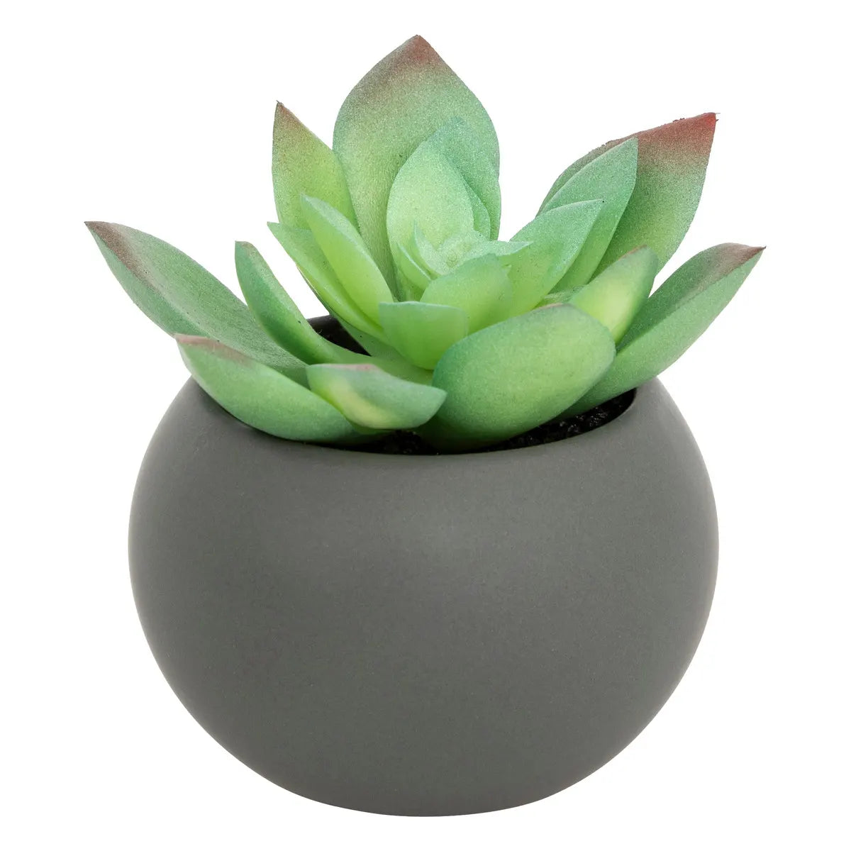 Изкуствено растение atmosphera Succulent, 13 cm, Различни видове