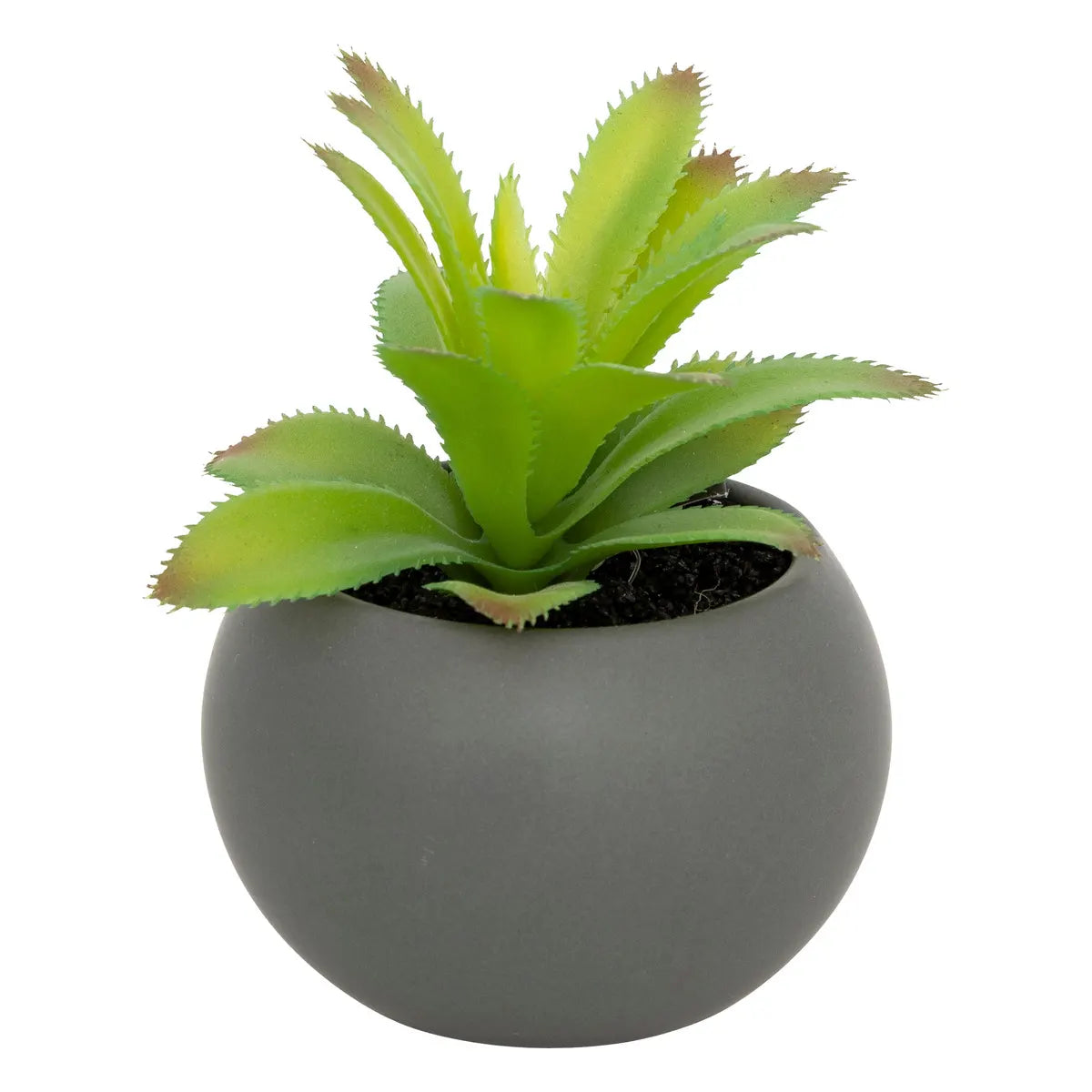 Изкуствено растение atmosphera Succulent, 13 cm, Различни видове