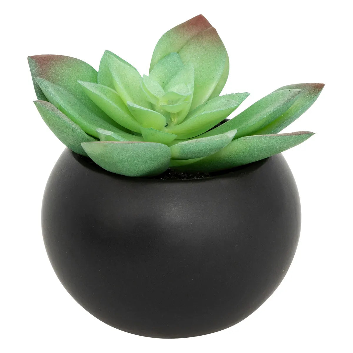 Изкуствено растение atmosphera Succulent, 13 cm, Различни видове