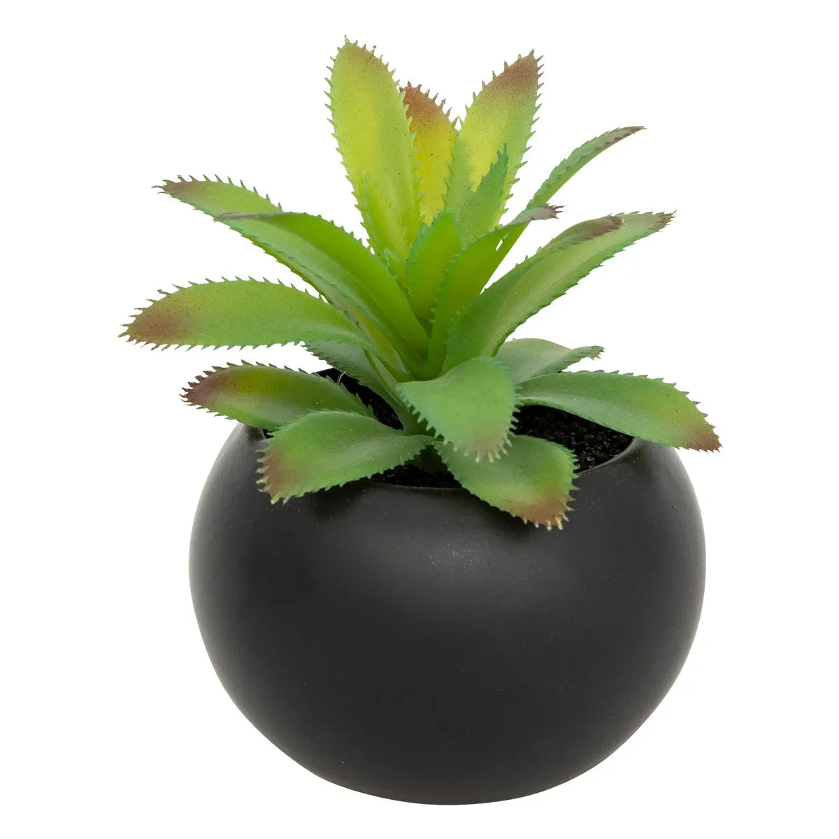 Изкуствено растение atmosphera Succulent, 13 cm, Различни видове