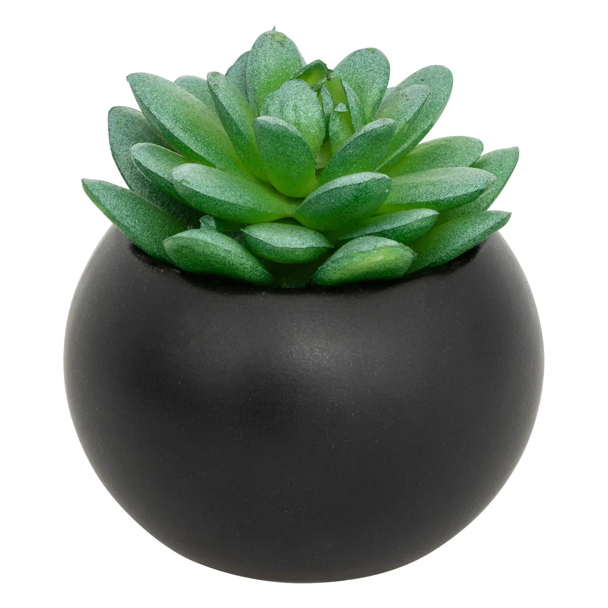 Изкуствено растение atmosphera Succulent, 13 cm, Различни видове