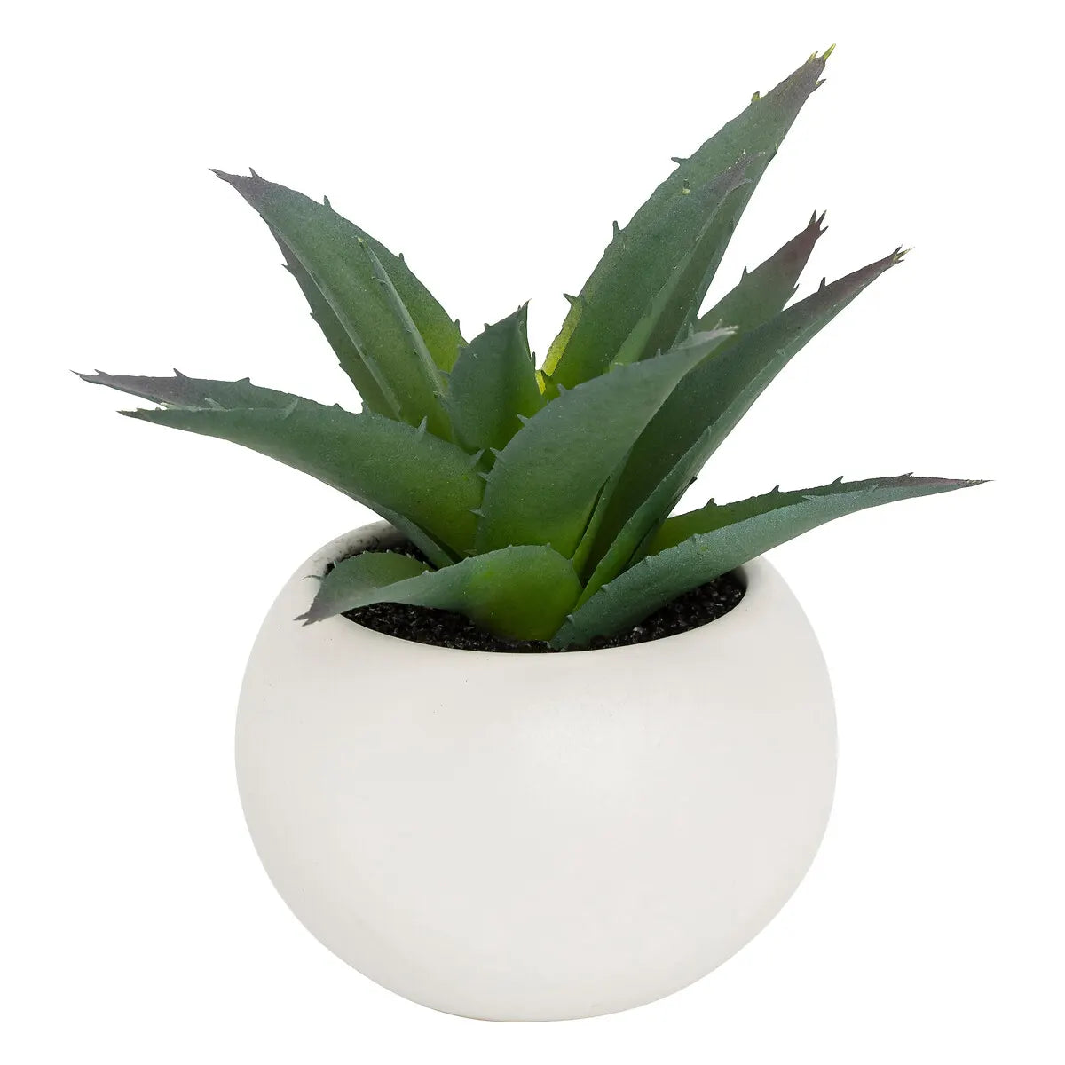 Изкуствено растение atmosphera Succulent, 13 cm, Различни видове