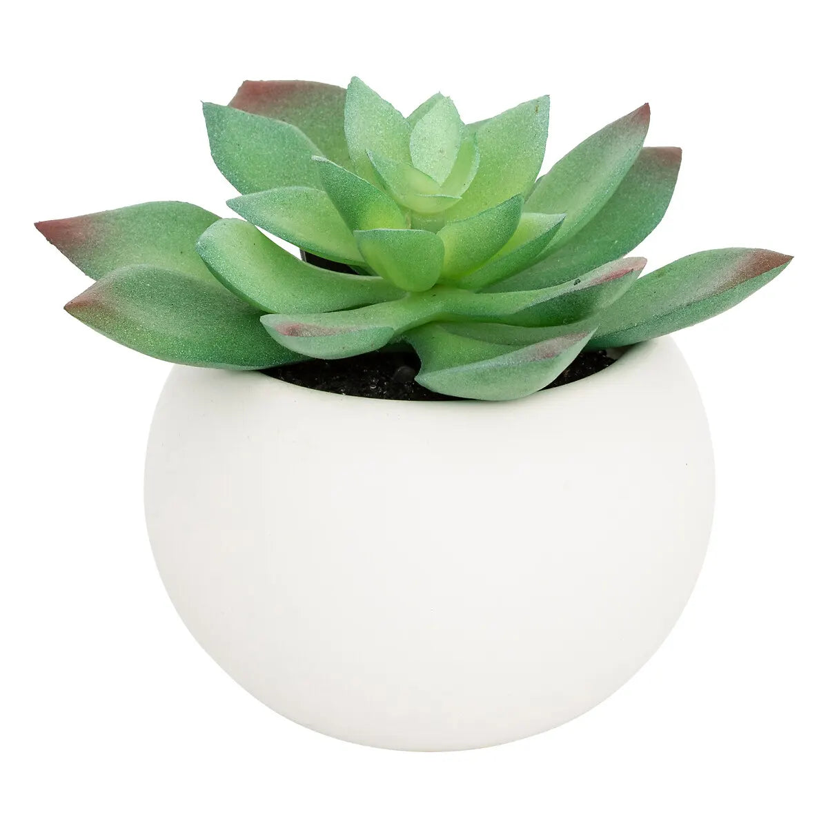 Изкуствено растение atmosphera Succulent, 13 cm, Различни видове