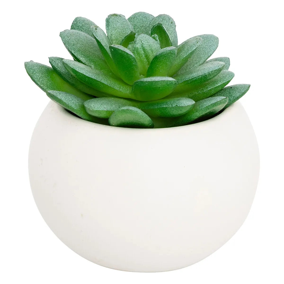 Изкуствено растение atmosphera Succulent, 13 cm, Различни видове