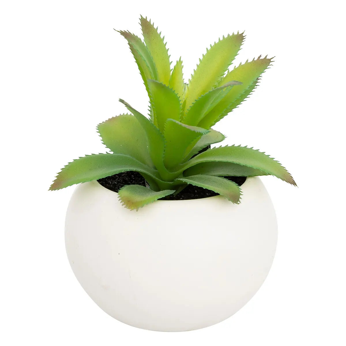 Изкуствено растение atmosphera Succulent, 13 cm, Различни видове