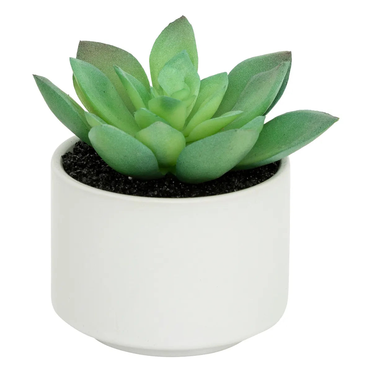 Изкуствено растение atmosphera Succulent, 13 cm, Различни видове