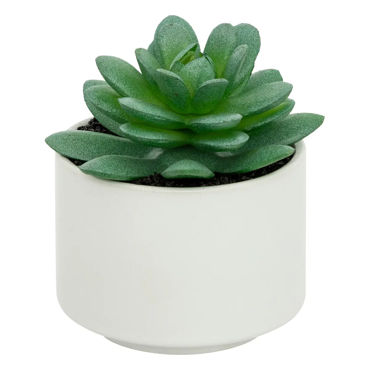 Изкуствено растение atmosphera Succulent, 13 cm, Различни видове