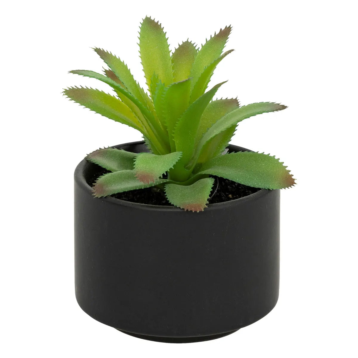 Изкуствено растение atmosphera Succulent, 13 cm, Различни видове
