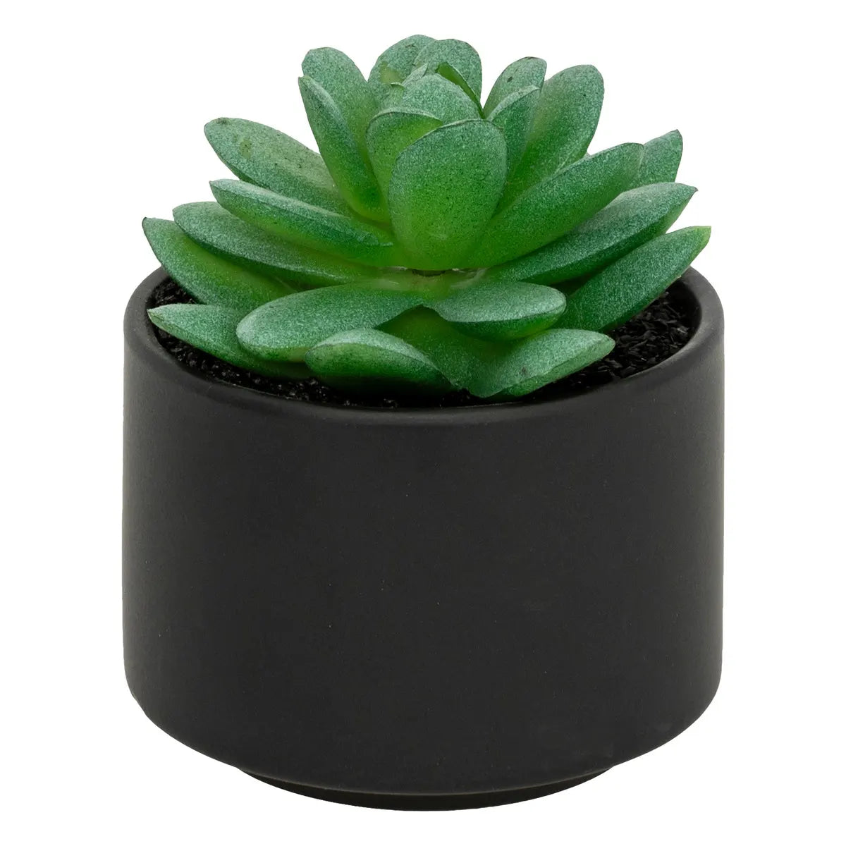 Изкуствено растение atmosphera Succulent, 13 cm, Различни видове