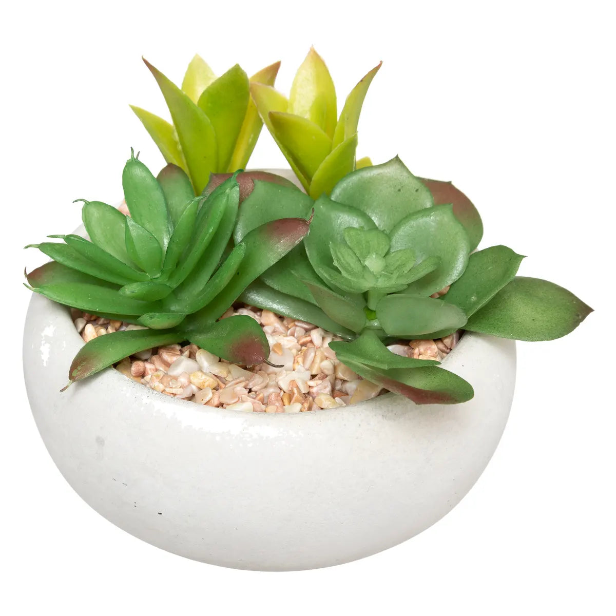 Изкуствено растение atmosphera Succulent, 10 cm, Различни видове