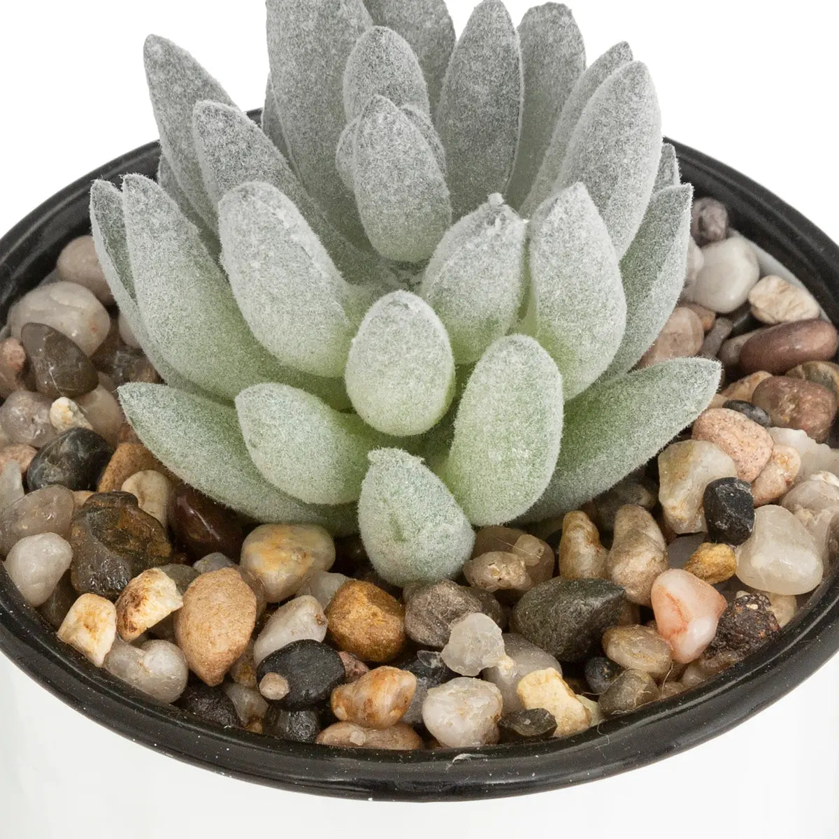 Изкуствено растение atmosphera, 10.5 cm, Различни видове