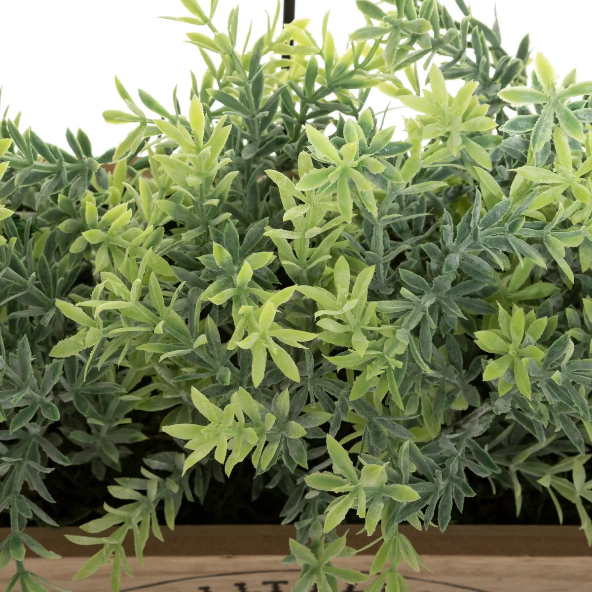 Изкуствено растение atmosphera Houseplant, 24.5 cm