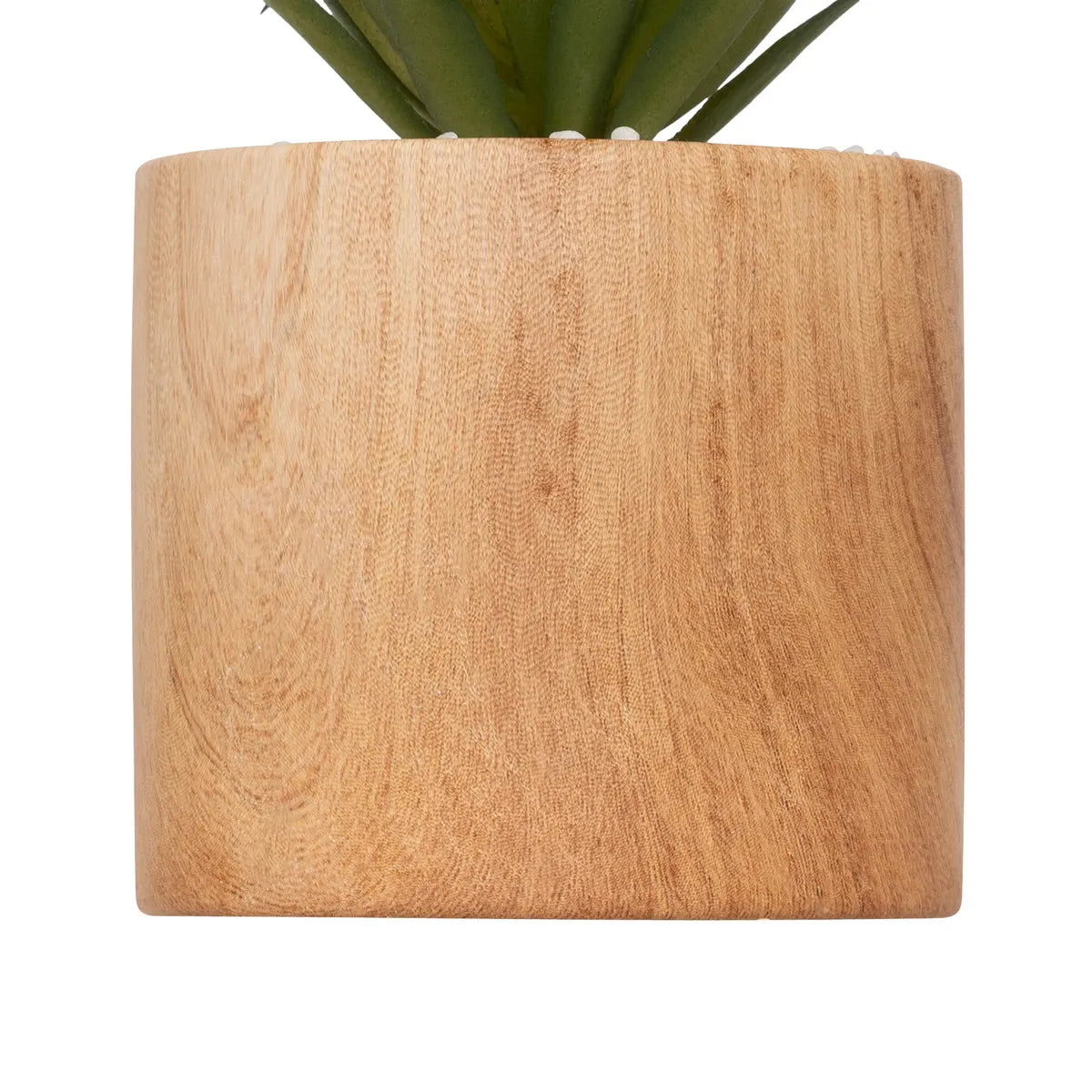 Изкуствено растение atmosphera Sao, 17.5 cm