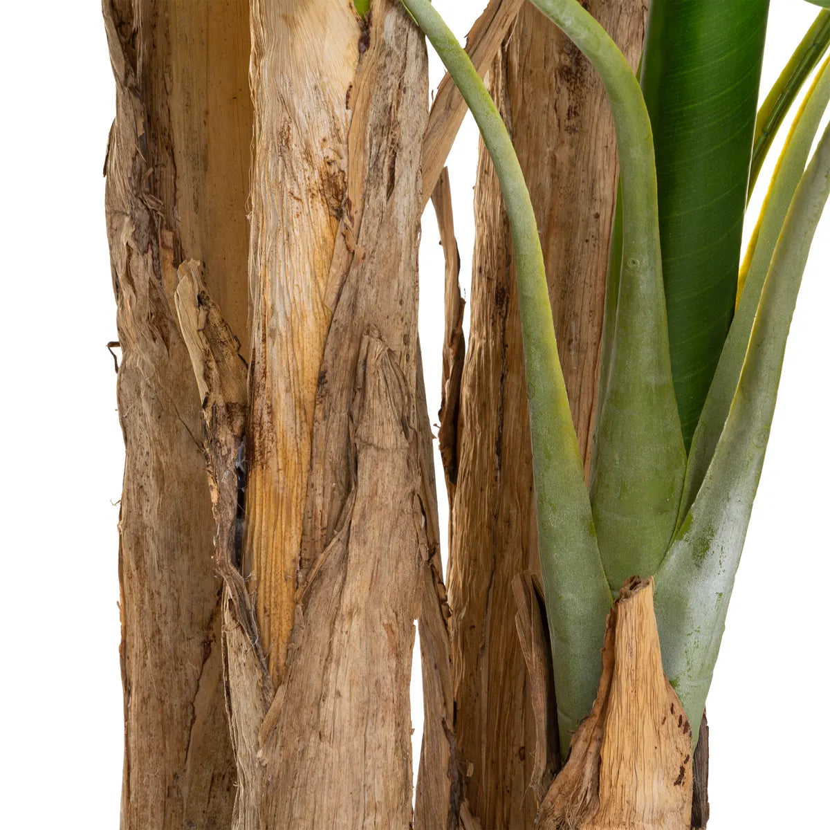 Изкуствено растение atmosphera Banana Tree, 285 cm