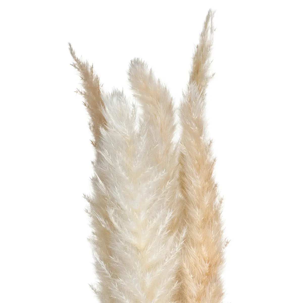 Изкуствено растение atmosphera Natural Pampa, 65см, 6бр, Бежов